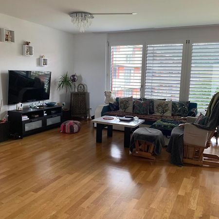 Rheinfelden Homestay Luaran gambar